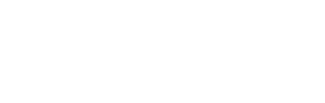 MF Tour Travel Agency